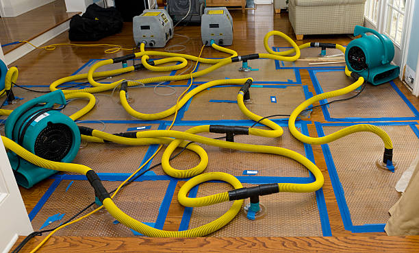 Professional Crawl Space Water Removal technician working in Linden, TX